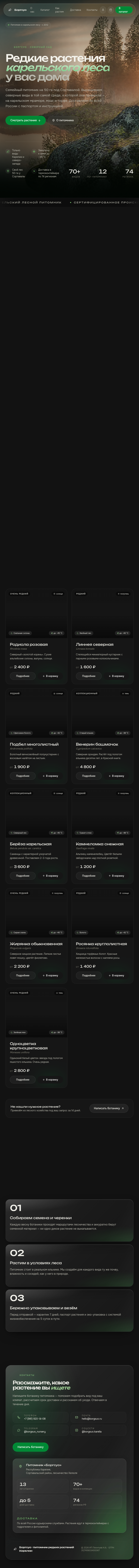 Ландшафтный дизайн с